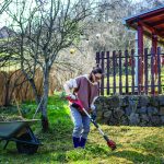 article image - lawn